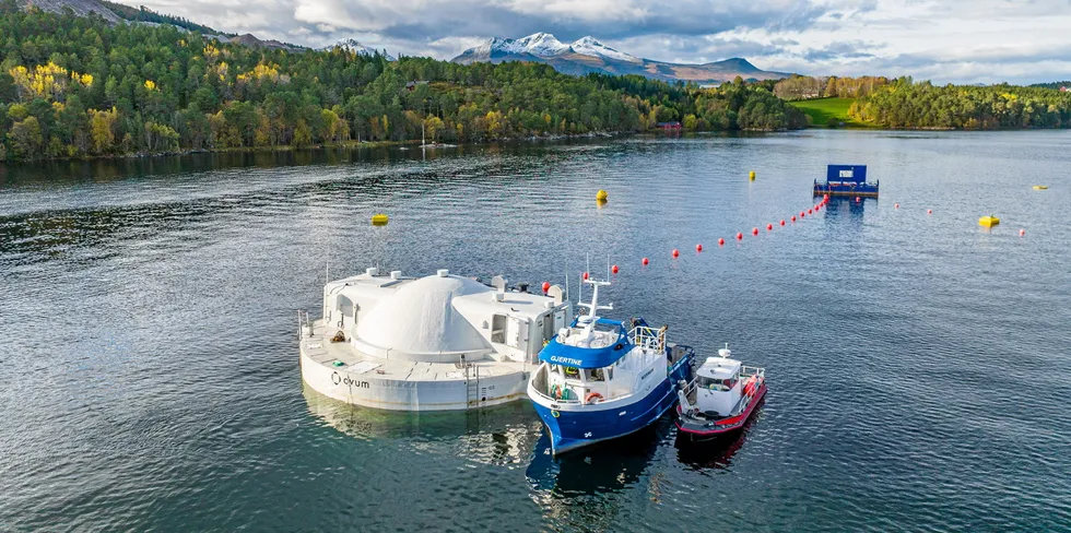 Innsett av fisk i Egget høsten 2022.