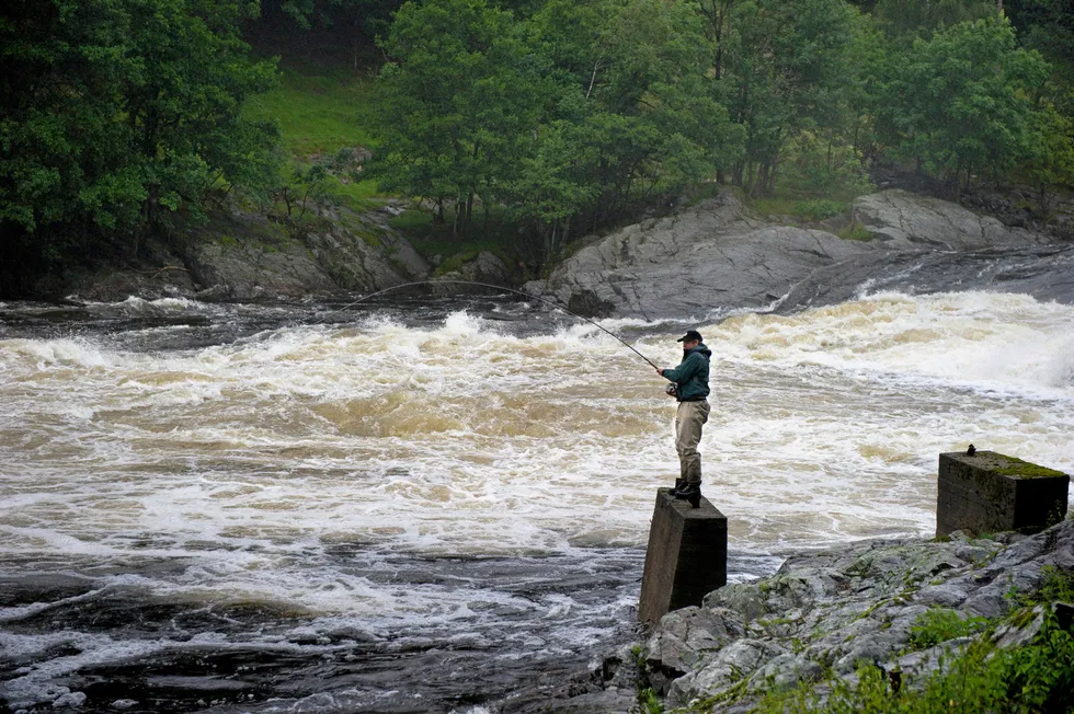 Det kan bil full stans i laksefiske i elver på kort varsel, melder Miljødirektoratet.