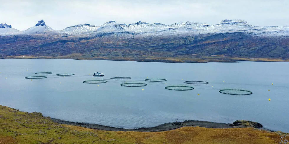 Ice Fish Farm holder til på Island.