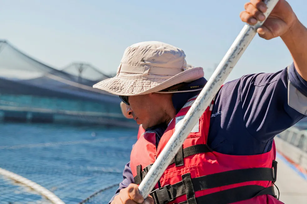 Higher costs and lower prices hit Salmones Camanchaca in the first quarter.