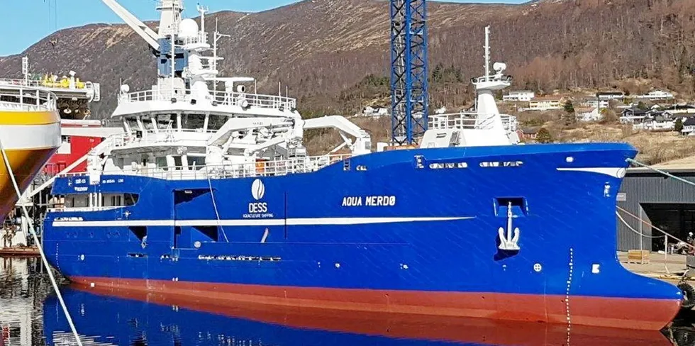 «Aqua Merdø», en slaktebåttilhørtende Dess Aquaculture Shipping AS.