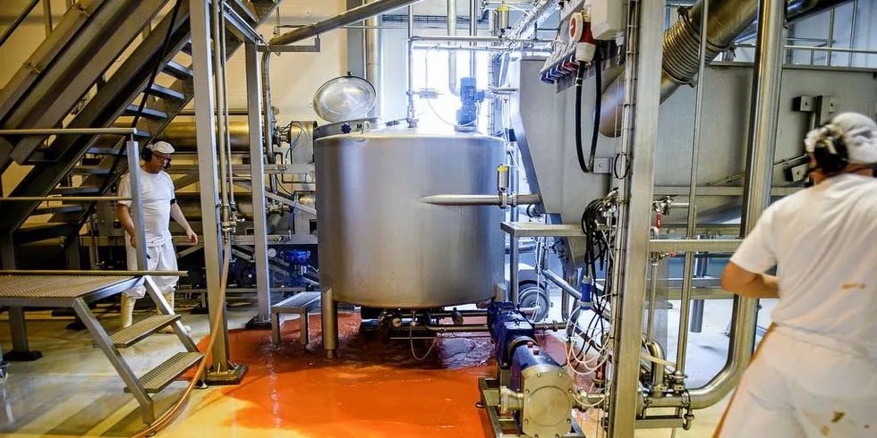 Produksjon: Offentlig finansierte demonstrasjonsanlegg kan spille en viktig rolle i næringsutviklingen, skriver dagens gjest. Her et glimt fra Calanus AS i Tromsø, som satser på helsekost laget av raudåte. Illustrasjonsfoto: Lars Åke Andersen