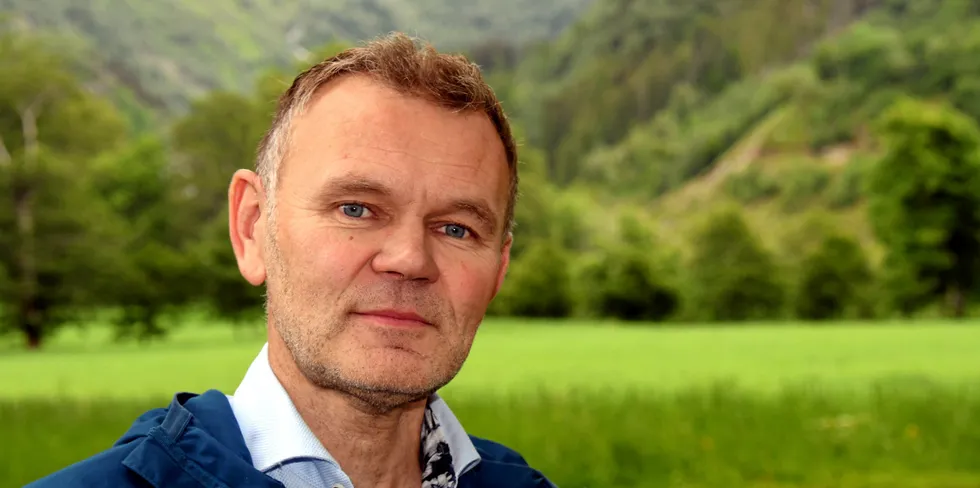 For konsernet Ren Røros er det økonomiske resultatet sterkt preget av et år med historisk lave strømpriser, ifølge konsernsjef Arnt Sollie. Men første kvartal har allerede rettet opp tapet fra i fjor.