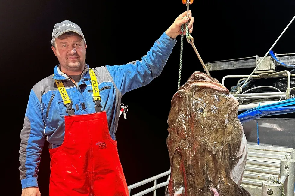 Breiflabbfiske har vært et viktig fiskeri for skipper på «Vollen II», Ørjan Eilertsen siden 2008.