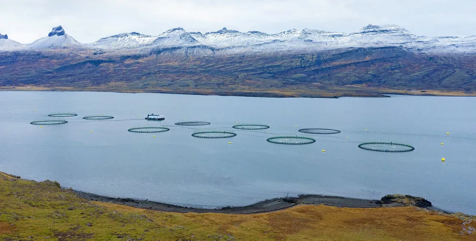 Ice Fish Farm, Island.