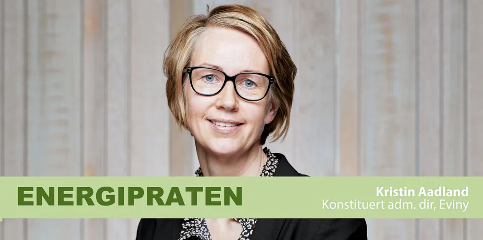 – Vi må våge gå inn i diskusjonen om at vi mangler fornybar kraft – for å få bukt med høye strømpriser