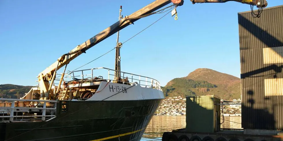 FISKEBÅT: Kokken på «Ottar» garanterer at ingen sulter, men at det tvert imot gis topp forpleining til mannskapet. Etter aksjonen har han også fått i orden sin egten lønnsavtale med rederiet.Foto: Einar Lindbæk