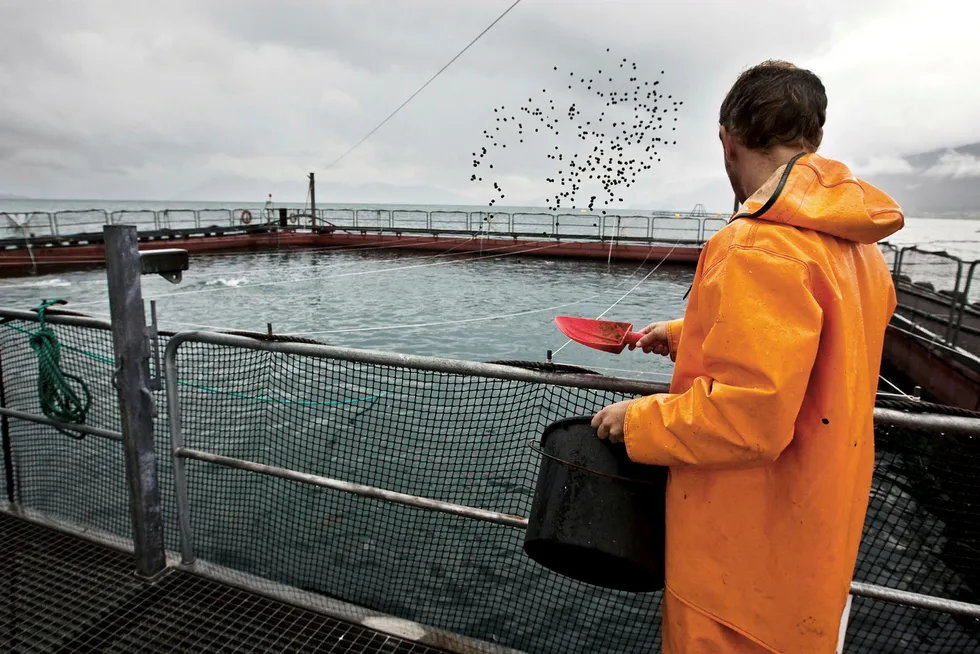 Forskningen vår viser at redusert bruk av de marine ressursene kombinert med økning av planteråvarer i fôret påvirker sammensetningen av næringsstoffer og uønskede stoffer i laksen. Foto: Eivind Senneset