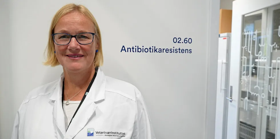 Anne Margrete Urdahl er seniorforsker på mattrygghet og dyrehelse ved Veterinærinstituttet. Hun er også fagansvarlig for antibiotika-resistens.