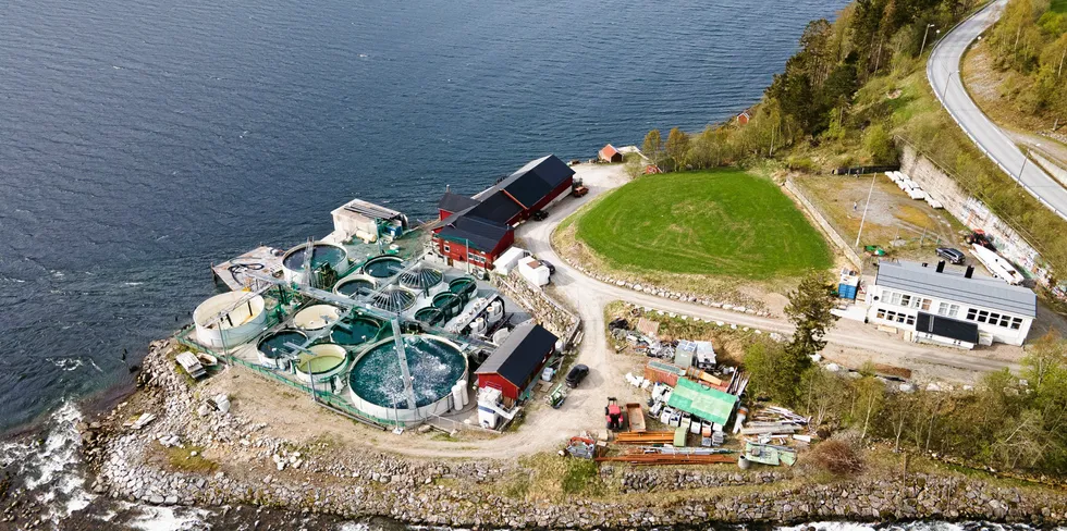 Salmon Evolution satte i slutten av mars sin første laksesmolt i landbasertanlegget sitt ved Indre Harøy i Møre og Romsdal.