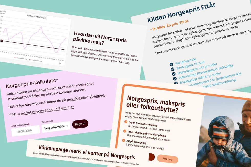 Nettsidene til strømselskapene er preget av Norgespris, en ordning som ikke eksisterer ennå.