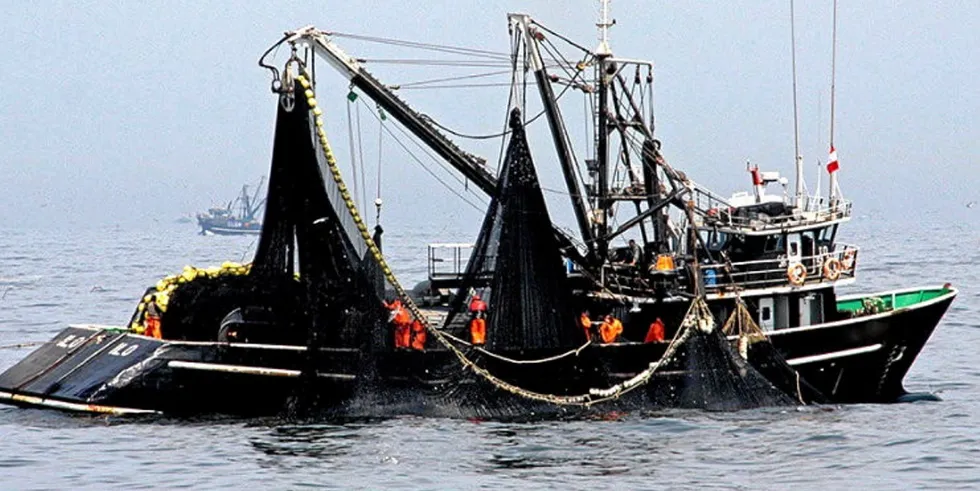 Peruvian fishing companies could find themselves in a familiar race against time to get the anchovy quota harvested.