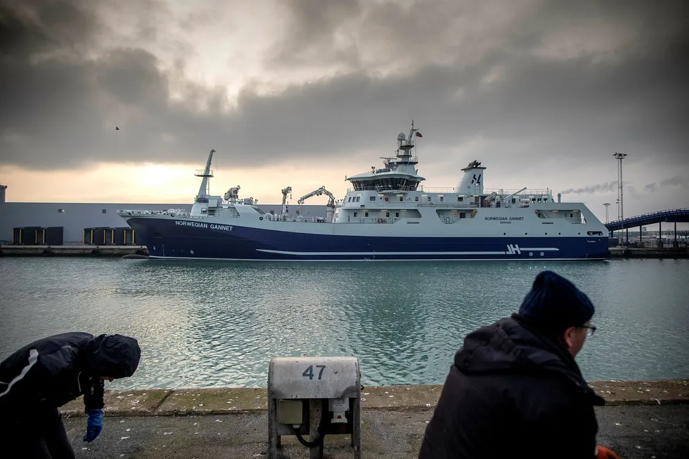 Slakteskipet «Norwegian Gannet», her i havn ved mottaksanlegget i Hirtshals, er sendt nordover for å hjelpe oppdretterne som er rammet av omfattende algedød.