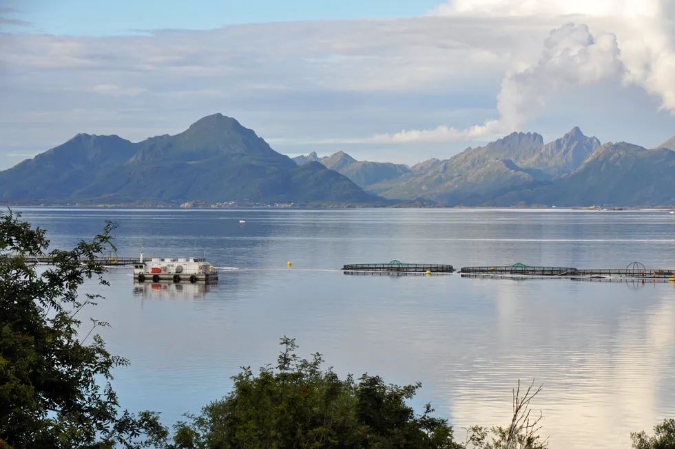 Matproduksjon: Lokaliteten Dragnes ligger ved Hadseløya i Vesterålen og tilhører Nordlaks. Fjell i Bø kommune i bakgrunnen.