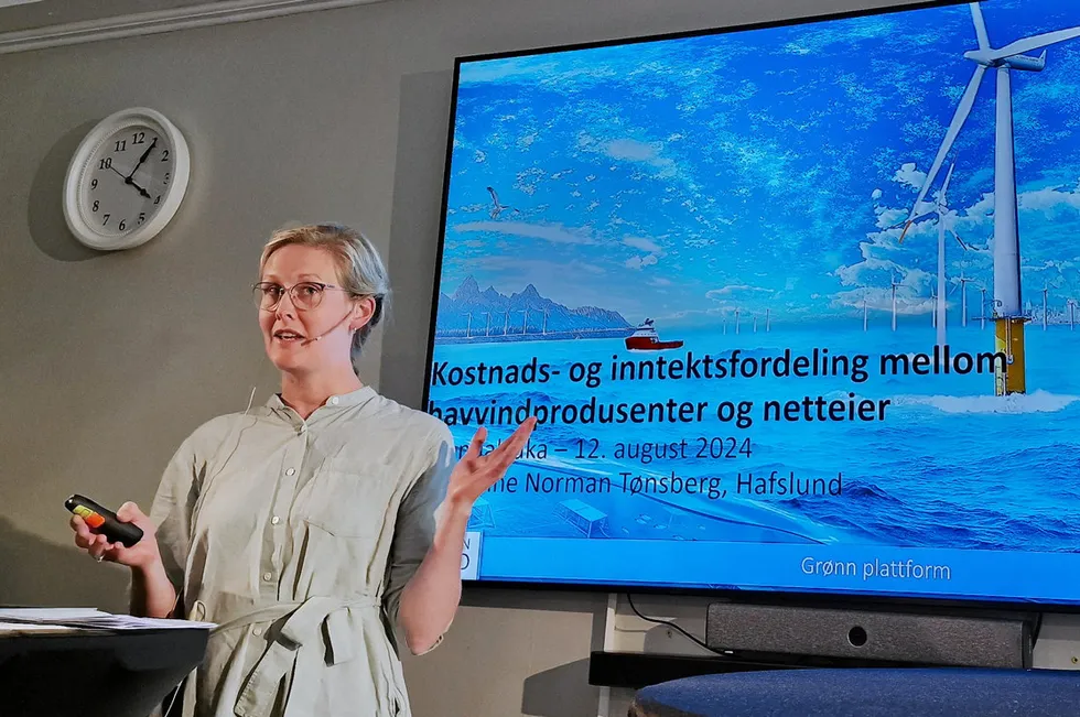 – Det finnes ikke en perfekt regulatorisk løsning for havvind. Det er helt tydelig både i EU og Norge. Det er ikke helt enkelt å finne den beste løsningen, sier prosjektutvikler for havvind i Hafslund, Marianne Norman Tønsberg.