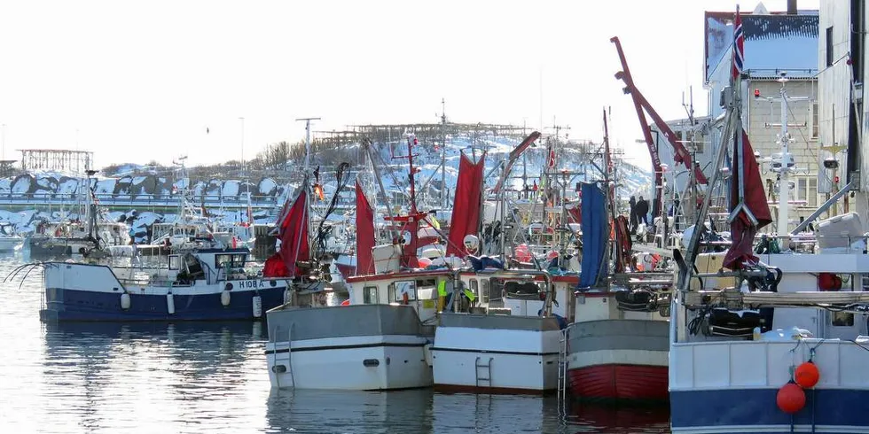 GODT FISKE: Både åpen og lukket gruppe har fisket store kvanta torsk helt fra årets begynnelse. Mye av denne torsken er landet her i Henningsvær.Foto: Jon Eirik Olsen