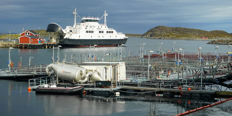 Grunnrenteskatt opptar næringen for tiden. Tirsdag arrangerer Youngfish debatt og en innføring om den såkalte lakseskatten. Bilde fra Lovund.