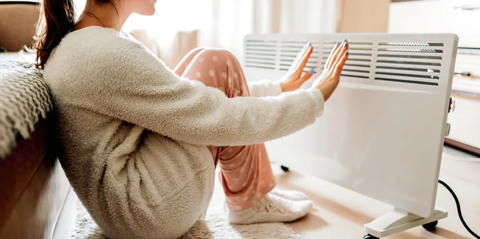 På tross av strømpris på over 2 kroner per kWh ble det nesten satt ny rekord i strømforbruk i dag tidlig.