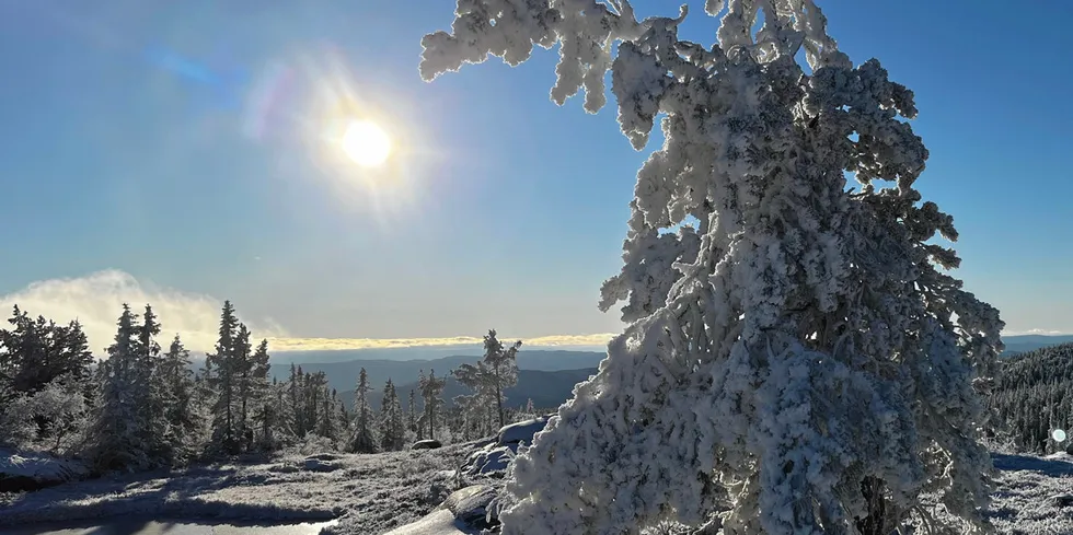 Vesentlig lavere temperaturer enn normalt, løfter strømforbruket. Kombinert med mindre vindkraft enn normalt, gir det stive påskepriser både i Europa og Norden.