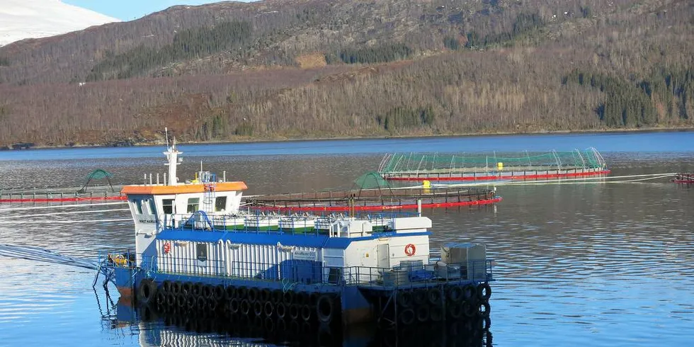 SKATT PÅ HAVBRUK: Om to år vil det bli klart hvordan havbruksnæringen i framtiden skal beskattes.Foto: Agnar Berg