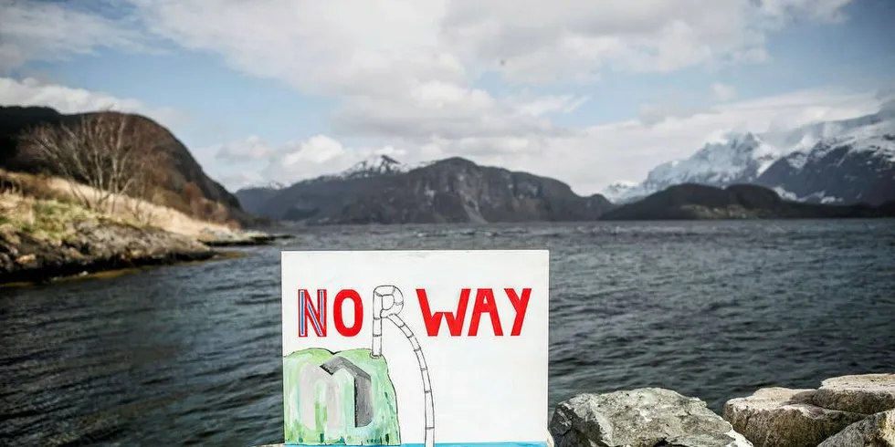 NYTT FORSLAG: Et nytt selskap vil utvinne granat i det omstridte Engebøfjellet, på venstre side av bildet. Et sjødeponi vil komme rett ut i fjorden bak plakaten. Foto: Luca Kleve-Ruud