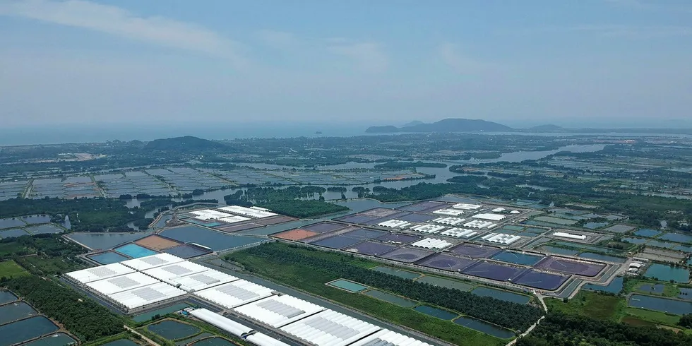 CP Foods' new land-based biofloc shrimp facility in Thailand.