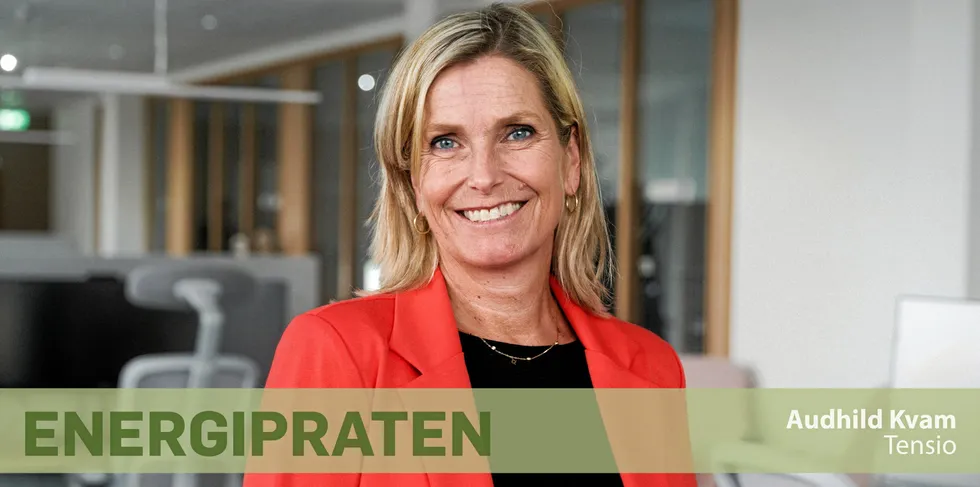 Klar melding fra den nye krafttoppen: – Nettselskapene kan ikke være for offensive