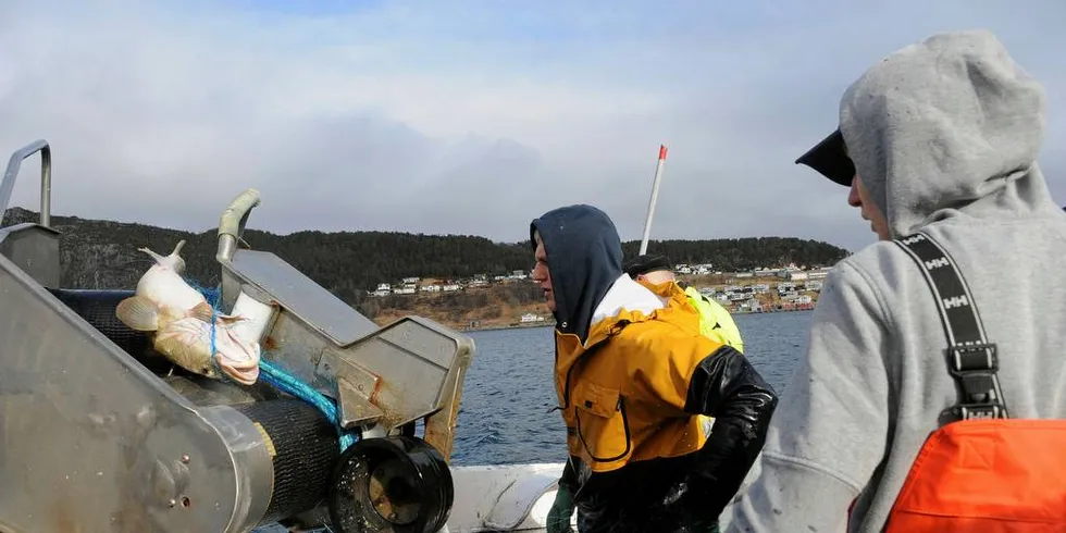 Ungdomsfiskeordningen skal bidra til rekruttering til fiskerinæringa. Her er det videregåendeelevene Andras Naas (t.v.) og Benjamin Kvalsund Koppang som fisker på skolebåten «Havung» tidligere i år.Foto: Kjersti Kvile