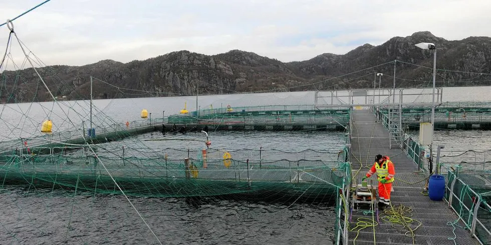 Luseproblemer gjør at Marine Harvest nedjusterer slaktevolumet for andre halvår. Her fra Flekkefjord. Arkivfoto: Kjersti Kvile