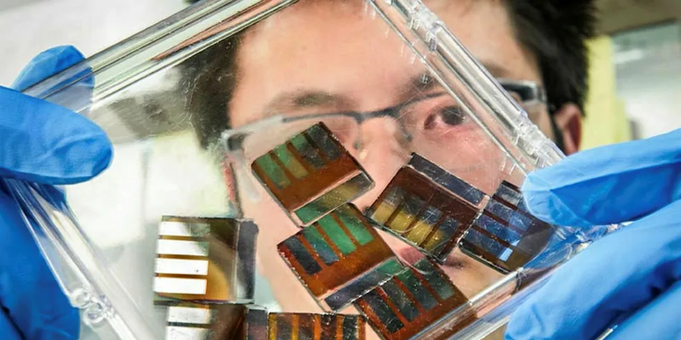 NREL researcher Mengjin Yang examines hybrid perovskite solar cells in his lab