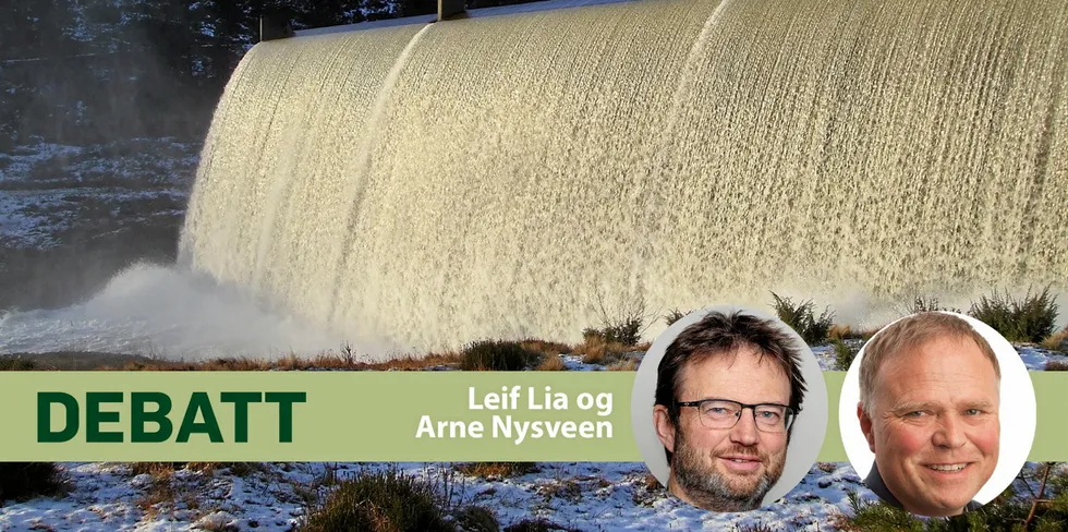 – Alle vil ha den regulerbare vannkrafta, men bør alle få den?