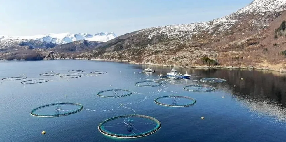 Mowi er Norges og verdens største lakseprodusent. Her fra anlegget Mulnesodden i Gildeskål kommune i Nordland.