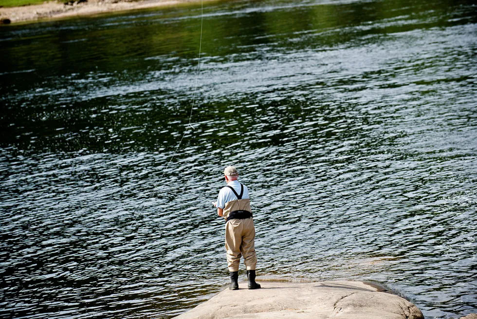 Alt tyder på at årets villakssesong, som starter torsdag, vil gi gode fangster av storlaks. Smålaksen sliter mer. Foto: Kjell Inge Søreide