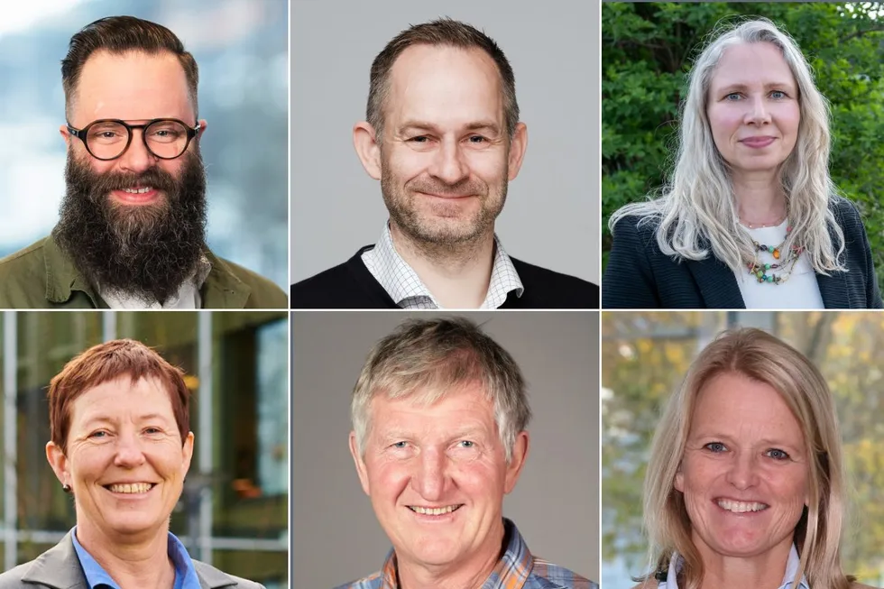 Øverst fra venstre: Morten Neteland (BKK) , Geir Asle Rotabakk (Tensio), Vibeke Ranum (Elvia), Rannveig Eidem Norfolk (Lnett), Knut Olav Bakkene (Glitre Nett) og Hilde Walmestad (Lede).