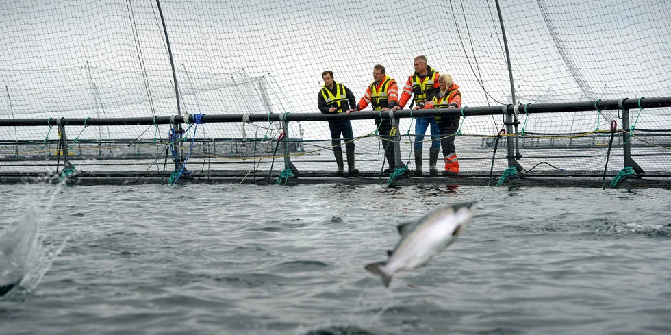 Oppdrettsselskapet Salmar her på Senja på et bilde fra arkivet. Dette anlegg ligger ved Skårliodden på nordspissen av Senja.