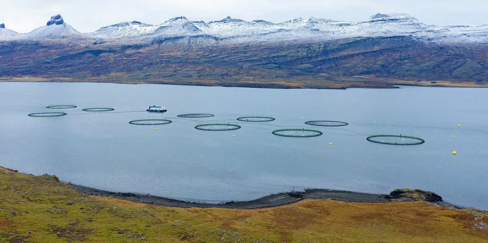 Ice Fish Farm på Island.