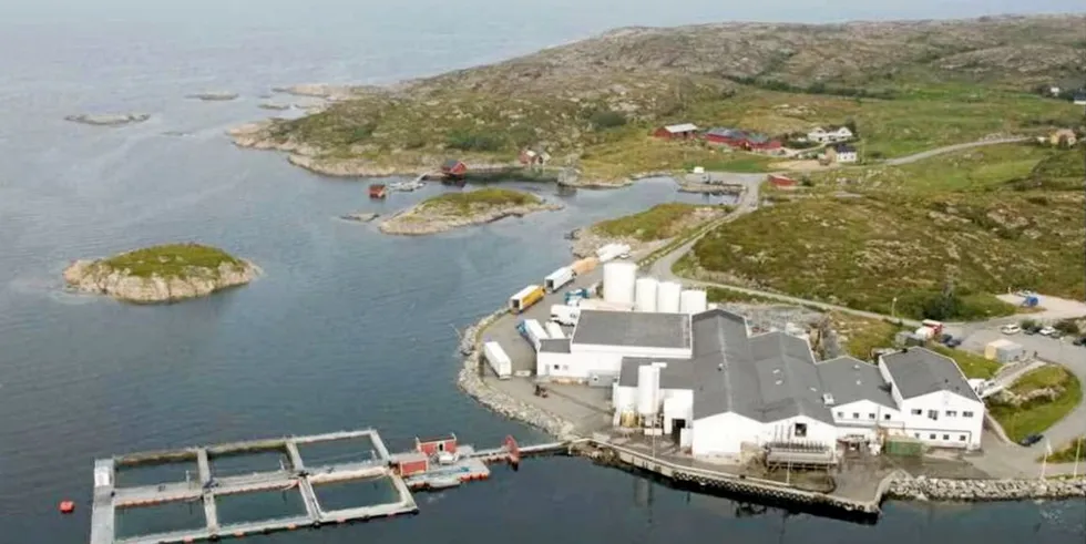 Måsøval har tatt over slakteriet på Ulvøy. Denne uken skrev de formelt under kjøpskontrakten.