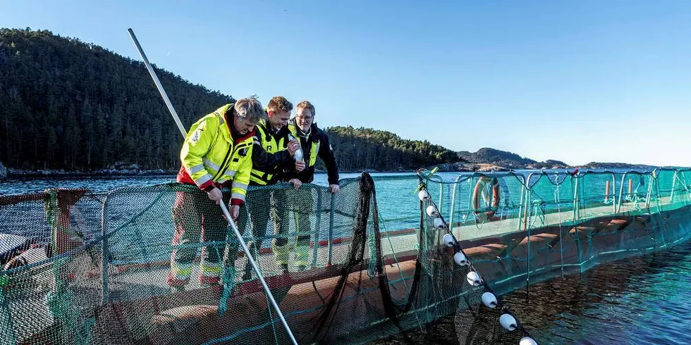 AVLUSING: Bremnes Seashore beveger seg bort fra kjemisk avlusing. Knut Breivik i Bremnes Seashore til venstre, Lars-Kristian Opstad i Blue Lice, i midten, og Eirik Svabø, driftsleder Bremnes Seashore, til høyre.Arkivfoto: Tommy Ellingsen