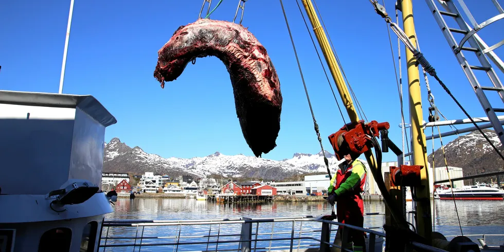 «Åse-Karin» leverer hos Lofothval i Svolvær i mai 2018.