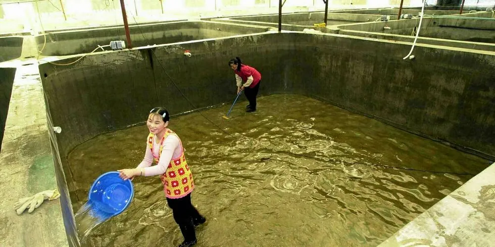 AKVAKULTUR I KINA: Næringen kan ikke vokse uten betydelige teknologiske endringer, mener direktør for BioMar i Danmark. Arkivfoto: DN