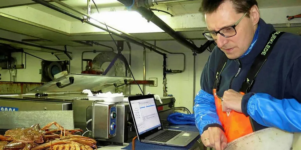 Havforskar Sten-Richard Birkely handterer snøkrabbe.Foto: Ann Merete Hjelset, Havforskningsinstituttet