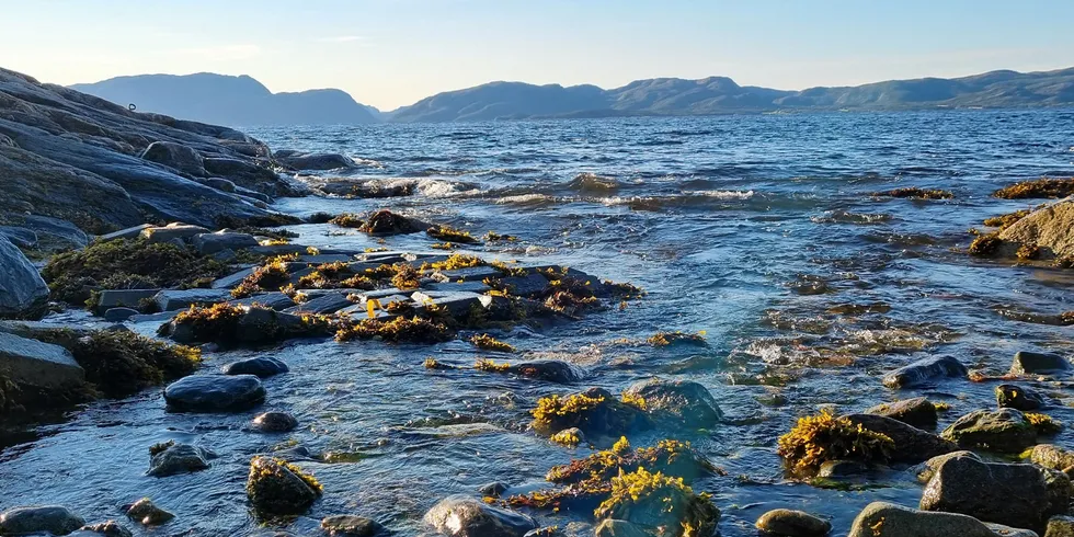 Fra disse fjæresteinene i Abelvær og over til Jøa skal det strekkes en splitter ny sjøkabel.