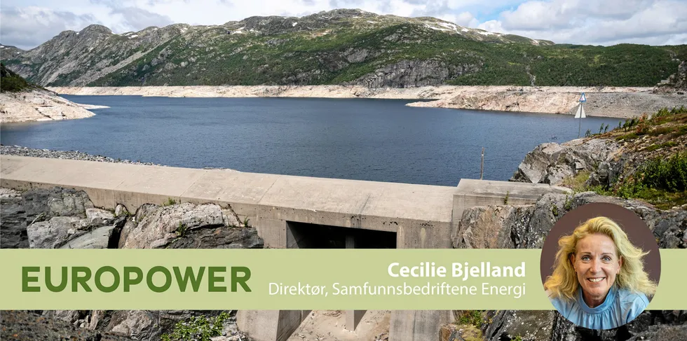 – Nå trenger vi politikere som tør å tenke at dagens energiregime ikke er perfekt