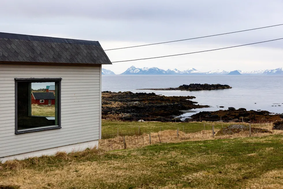 Den pittoreske kommunen Bø i Vesterålen har i overkant av 2000 innbyggere, i underkant av 40 av disse er skatteflyktninger. Lenge slet kommunen med fraflytting, men de siste årene har innbyggertallet holdt seg stabilt.