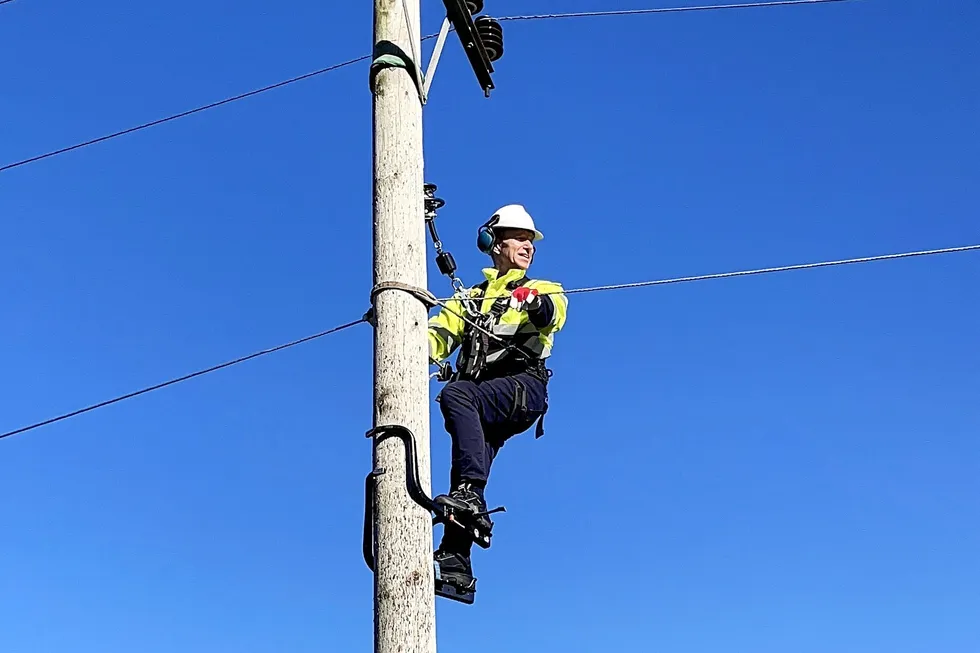 Det var noen år siden sist, men energiminister Terje Aasland (60) behersker fortsatt kunsten å klatre i stolper.