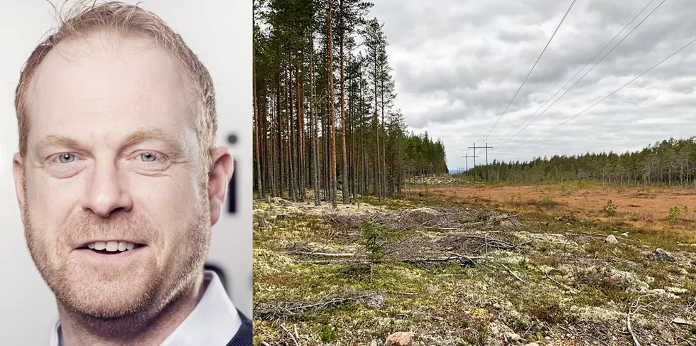 Sikret seg 1000 mål til solkraftverk i Vang - vil levere til Green Mountain.
