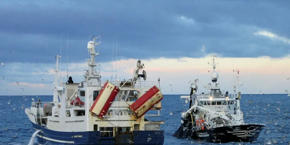 PELAGISK FLÅTE: Denne flåten klarer seg godt, også i disse tider. Her møter ringnotbåtene «Elisabeth» og «Krossfjord» til havs.Illustrasjonsfoto: Rune Kvamme