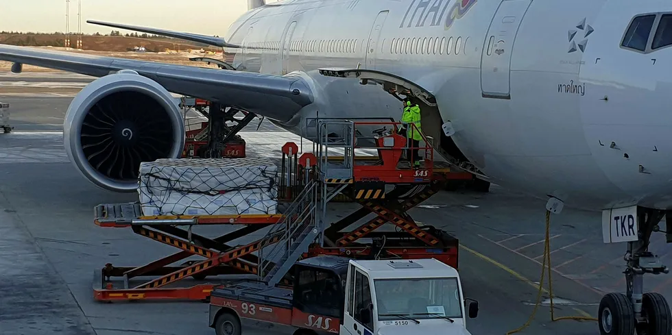 Illustrasjonsfoto: Laks på vei til Thailand med Thai Airways på Oslo lufthavn.