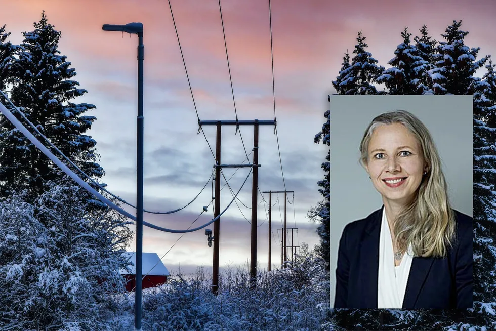 – Elvia er opptatt av å utnytte nettet vi har gjennom å overvåke, analysere og drifte eksisterende nett smartere og finne gode løsninger sammen med kundene våre, sier direktør for Kunde i Elvia, Vibeke Ranum.