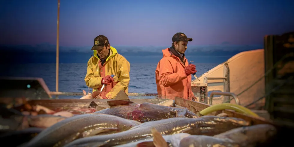 Kystfiskefartøyene hadde en positiv utvikling i lønnsomheten i 2019 sammenlignet med 2018. Samlet hadde de økning i driftsmargin fra 12,1 til 17,1 prosent.